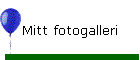 Mitt fotogalleri